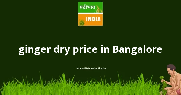 ginger dry price